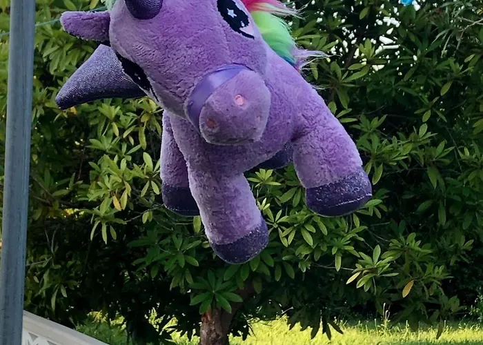 Acogedora Casa Con Jardin サンタマルタ・デ・オルティゲイラ