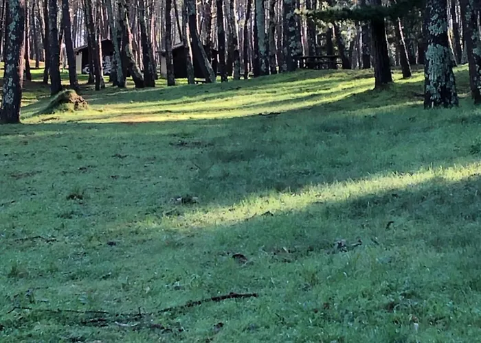 Acogedora Casa Con Jardin * サンタマルタ・デ・オルティゲイラ