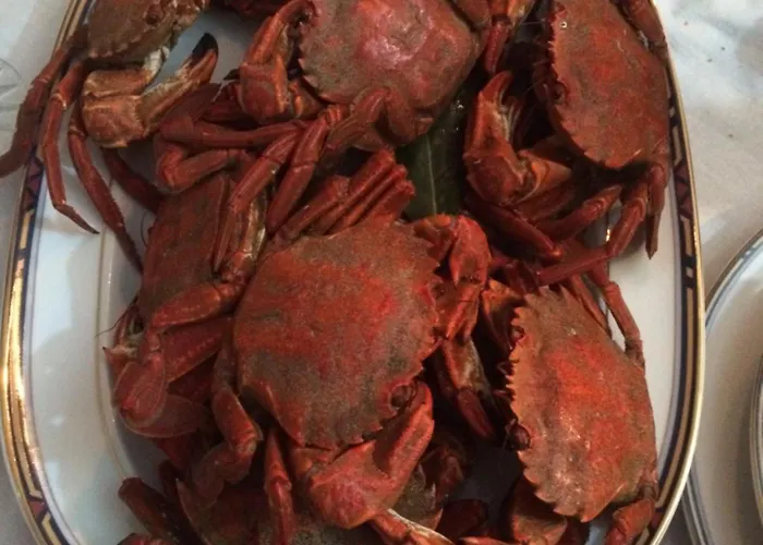 Acogedora Casa Con Jardin アパート *