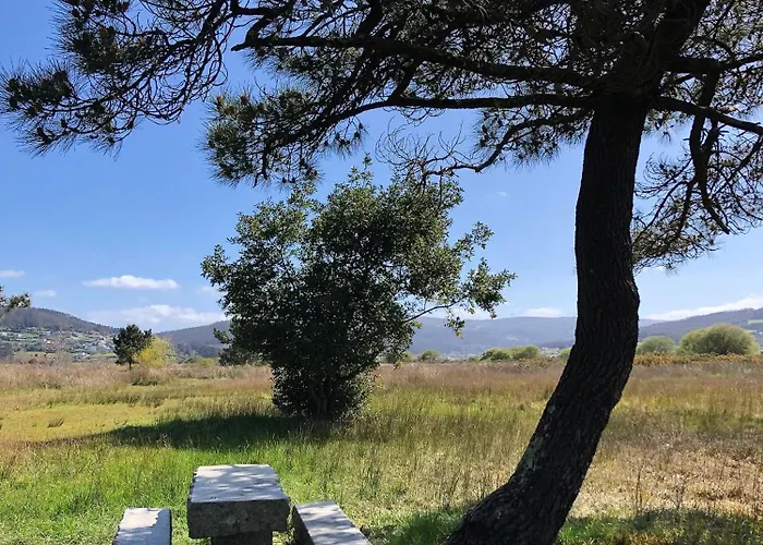 Acogedora Casa Con Jardin