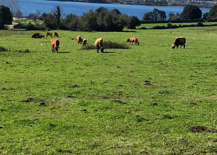 アパート Acogedora Casa Con Jardin